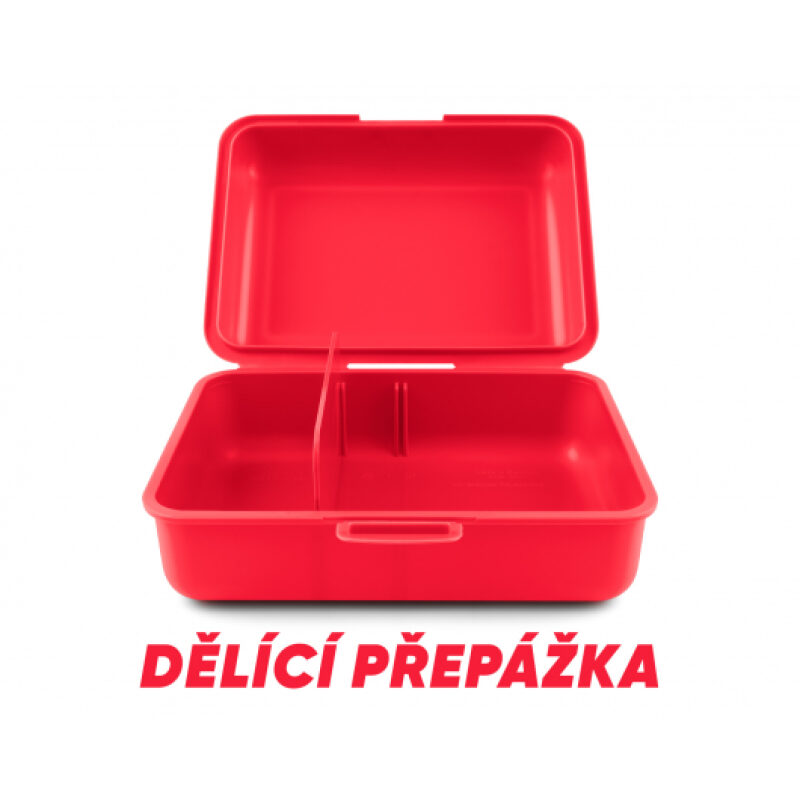 BAAGL Box na desiatu Teribear - Image 5