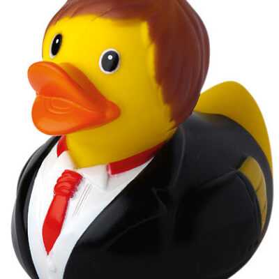 Schnabels® Squeaky Duck Groom