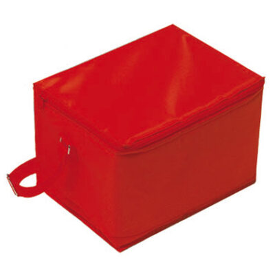 Cooler Bag Freeze big