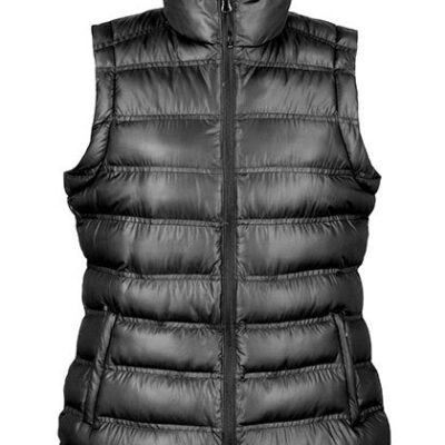 Womens Ice Bird Padded Gilet