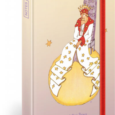 Notes Malý princ – King