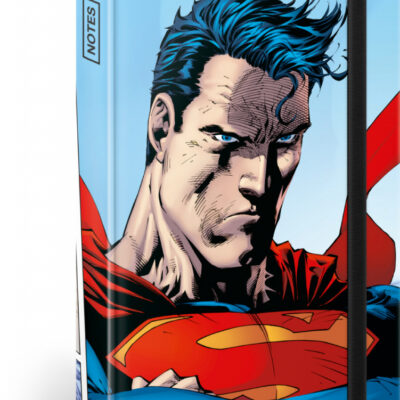 Notes Superman – World Hero