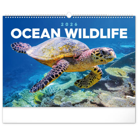 NOTIQUE Nástenný kalendár Podmorský svet 2026, 48 x 33 cm