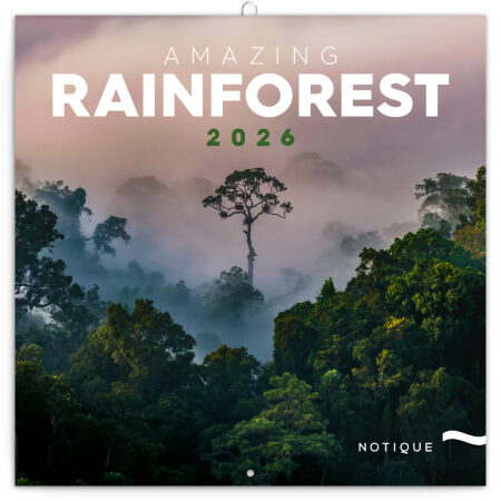NOTIQUE Poznámkový kalendár Dažďové pralesy 2026, 30 x 30 cm