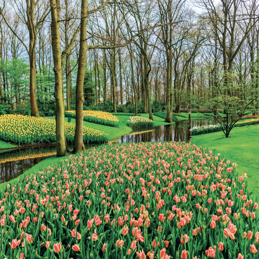 NOTIQUE Grid calendar Gardens 2027, 30 x 30 cm – Obrázok 6