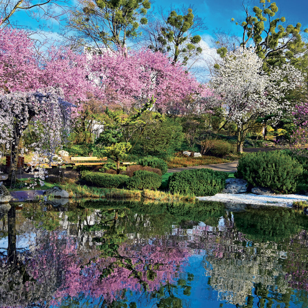 NOTIQUE Grid calendar Gardens 2027, 30 x 30 cm – Obrázok 7
